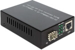 DeLOCK Media Converter 1000Base-T to SFP network media converter