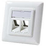 Keystone Dose Unterputz 2 modules. pure white LogiLink