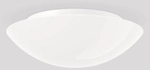 RZB Flat Basic IP43 E27 2X60W 211059.002 A60 D=370mm H=118mm Opalglas