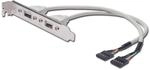 DIGITUS Slotblech 2xUSB/A -> IDC 2x5Pin Bu/Bu 0.25m Polybeutel
