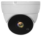 LevelOne ACS-5302 Sicherheitskamera Dome CCTV Sicherheitskamera Innen & Au&szlig;en