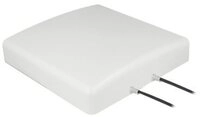 DELOCK Antenne LTE MIMO 2xSMA-St 8dBi + Kabel RG-58 10.0m