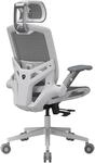 COUGAR Gaming/Office-Stuhl Speeder One, Mesh, Wei&szlig;