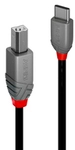 Lindy 36942 USB Kabel USB 2.0 2 m USB C USB B Schwarz