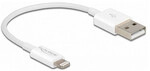DeLOCK 83001 lightning cable
