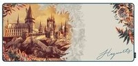 LEXIP X WARNER Harry Potter Mousepad