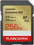 SanDisk Extreme GO