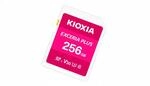 CARD KIOXIA SD-Card Exceria Plus 256GB Gen 2.