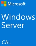Fujitsu Windows Server 2022 CAL Kundenzugangslizenz (CAL) 1 Lizenz(en)