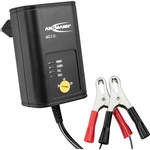 ANSMANN 1001-0015 ALCS2-12 Steckerladeger&auml;t f&uuml;r Blei-Akkus 2V, 6V, 12V PbBC