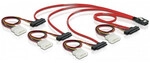 DeLOCK Cable mini SAS 36pin to 4x SAS 29pin SCSI cable
