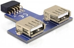 DeLOCK 9-pin 2.54 mm/2 x USB 2.0