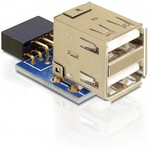 DeLOCK 1 x 9-pin 2.54 mm/2 x USB 2.0-A