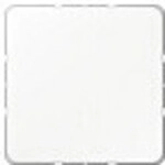 Jung CD 594-0 WW Blindabdeckung mit Tragring,Schraubbefest.