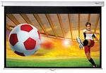 Optoma DS-9092PWC projection screen