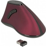 DeLOCK 12528 mouse