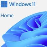 Windows 11 Home 64Bit DSP 1pk Franz&ouml;sisch DVD