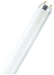Osram LUMILUX T8 fluorescent bulb