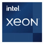 Intel Xeon E-2324G processor