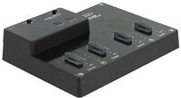 DELOCK M.2 Dockingstation 4xM.2 NVMe PCIe SSD Klon Funktion