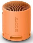 Sony SRS-XB100