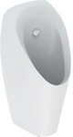Geberit Urinal Tamina, mit integrierter Steuerung, Batteriebetrieb, 116143001