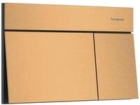 Hansgrohe iFrame Element E Bet&auml;tigungsplatte f&uuml;r 2-Mengen-Sp&uuml;lung, Brushed...
