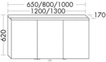 Burgbad Spiegelschrank Sys30 PG2 Echo 620x1000x170 Basaltgrau Matt, SPHN100F2236