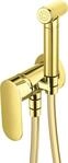 Neuesbad Serie 100 Bidetarmatur, Unterputz, mit Bidet-Handbrause, Oberfl&auml;che:...