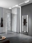 Kermi Walk-In Pasa XP TWF 0750x2000, silber mattglanz, ESG klar mit KermiClean,