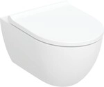 Geberit Acanto Set Wand-WC m. WC-Sitz, T: 53cm, Tiefsp&uuml;ler, sp&uuml;lrandlos,