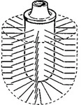 Hansa B&uuml;rstenkopf, 59911637 59911637