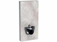 Geberit Monolith Sanitärmodul für Wand-WC 131022JV5