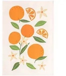 Magma Geschirrtuch Fruits 'Orange' 50 x 70 cm Orange