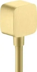 Axor Showersolutions Wandanschluss abgerundet - Brushed Brass - 36731950