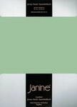 Janine Janine Spannbetttuch Elastic-Jersey 5002 lind (26) Gr&ouml;&szlig;e: 150x200 cm