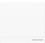 Busch-Jaeger System Access Point 2.0 Wireless SAP/S.13