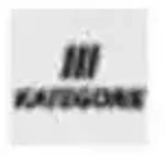 Ansell Einweghandschuh EN374 Kat.III TouchNTuff Nr.92-670 Gr. 9,5-10 Nitril...
