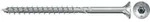 fischer Power-Fast II 4,0x60 SK blvz TG TX 50