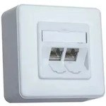 BTR NETCOM Anschlussdose C6Amodul AP 2Port 180 AP,rws TN C6Amod-2AP-180rw
