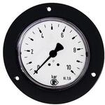 Riegler Standardmano., Frontring schwarz, G 1/4 hinten, 0-60,0 bar, &Atilde;&tilde; 63...