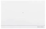 Busch-Jaeger Smart Access Point Pro D04011-03 (2TMA400260W0008)
