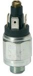 Riegler Druckschalter, Wechselkontakt, Stahl ver., 42 V, G 1/4, 1-10 bar (DS...