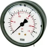 Riegler Glyzerinmano., Kunststoff, G 1/4 hinten zentr., 0-60,0 bar, &Oslash;63