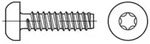 ISO 14585 Form FE Flachkopf-Blechschraube VG 5,5x13 Stahl galvanisch verzinkt m.
