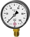 Riegler Kapselfedermanometer, G 1/4 radial unten, 0 - 250 mbar, &Oslash;63, 5816-R