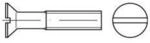 ISO 2009 Senkkopfschraube M10x20 Edelstahl A2 blank Schlitz