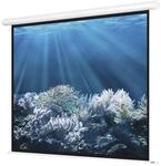Magnetoplan Elektrische Leinwand Standard, 2400 x 1800 mm, 4:3