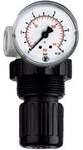 Riegler Druckregler &raquo;Standard-mini&laquo; inkl. Mano, BG 0, G 1/8, 0,15 - 7 bar