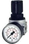 Riegler Druckregler &raquo;multifix-mini &laquo; inkl. Mano, BG 0, G 1/8, 0,1 - 3 bar